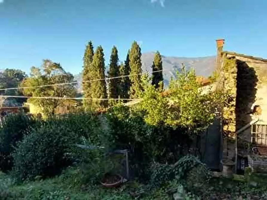 Immagine 3 di Rustico / casale in vendita  a Camaiore