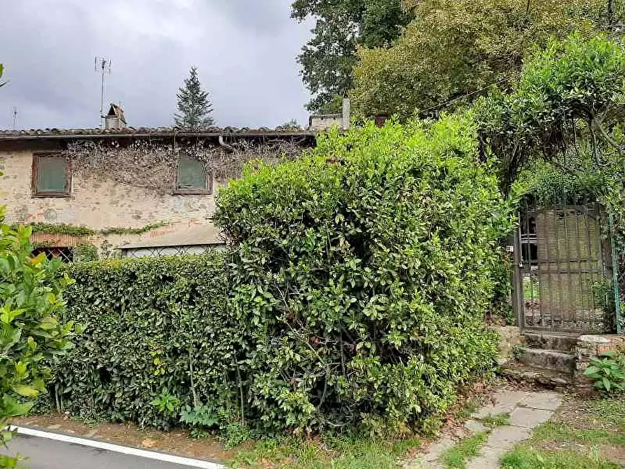Immagine 1 di Rustico / casale in vendita  a Camaiore