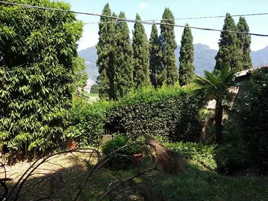 Immagine 9 di Rustico / casale in vendita  a Camaiore