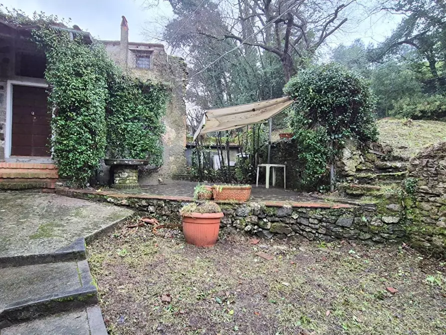 Immagine 12 di Rustico / casale in vendita  a Camaiore