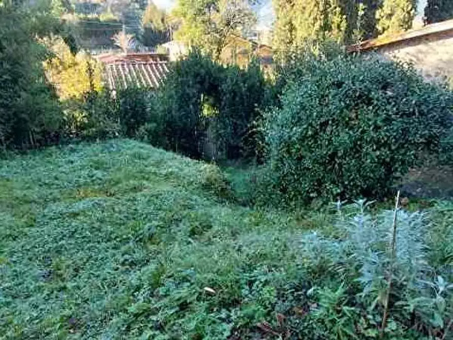 Immagine 10 di Rustico / casale in vendita  a Camaiore