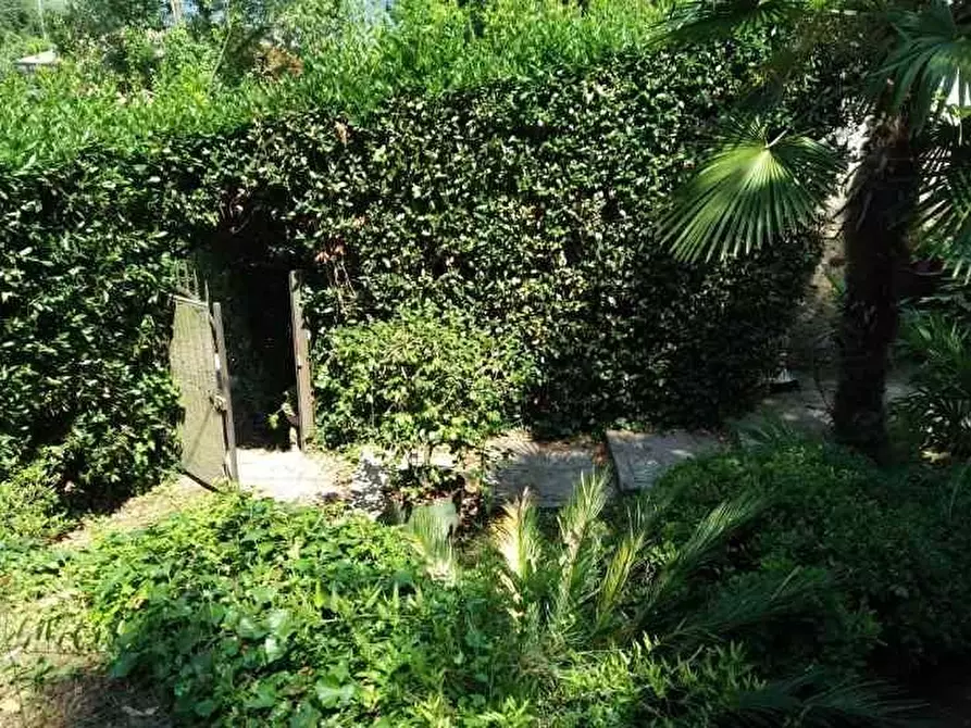 Immagine 2 di Rustico / casale in vendita  a Camaiore