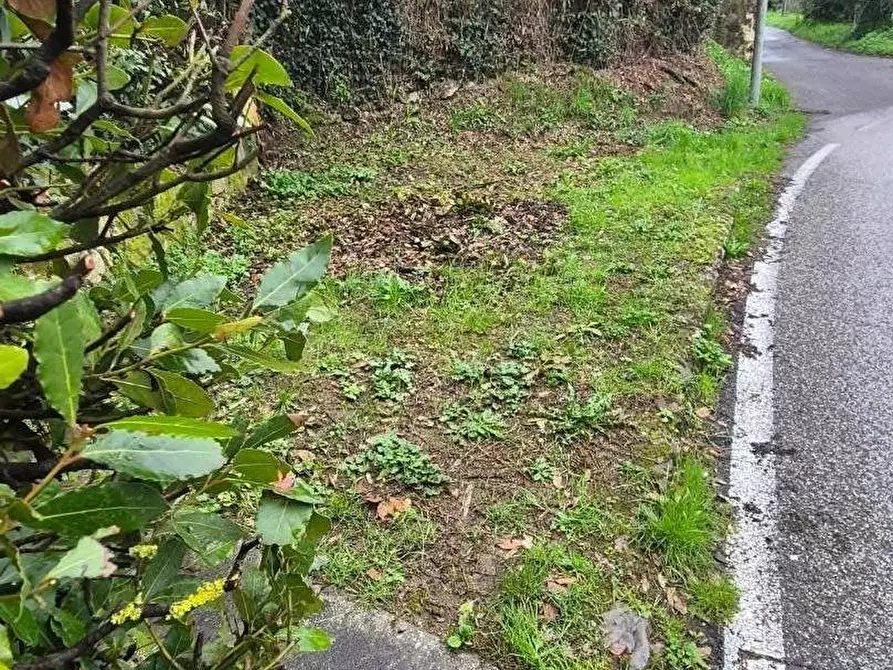 Immagine 2 di Rustico / casale in vendita  a Camaiore
