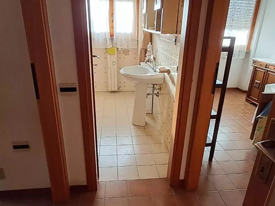 Immagine 9 di Appartamento in vendita  a Cecina