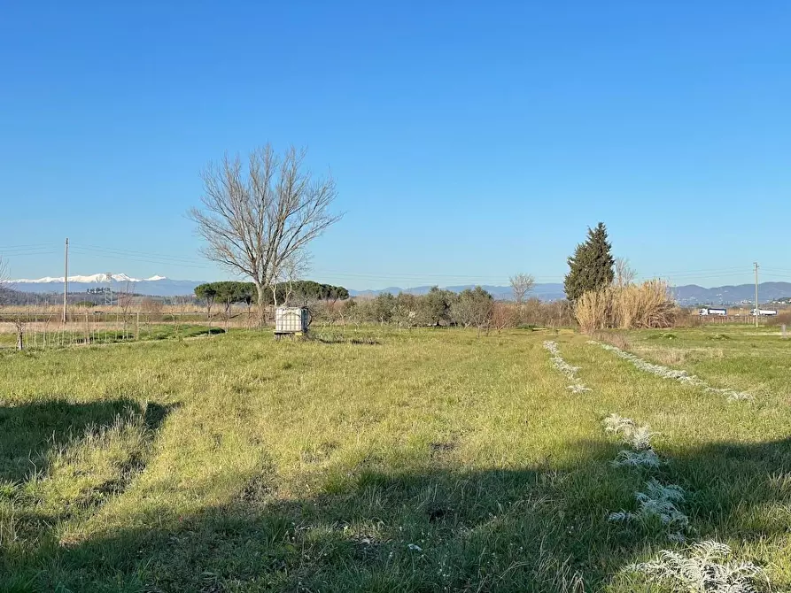Immagine 2 di Terreno agricolo in vendita  a San Miniato