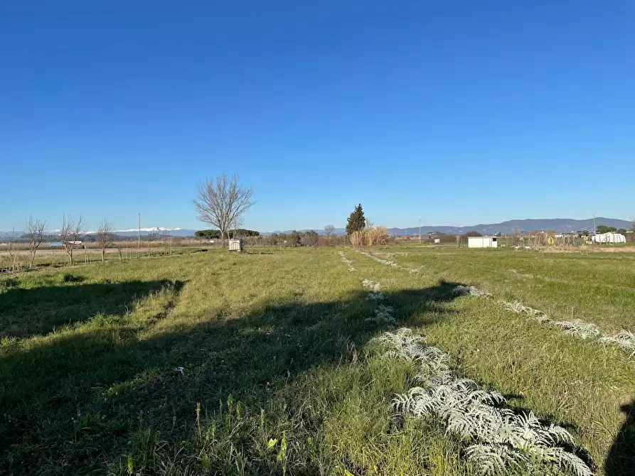 Immagine 5 di Terreno agricolo in vendita  a San Miniato