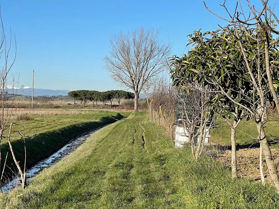 Immagine 6 di Terreno agricolo in vendita  a San Miniato