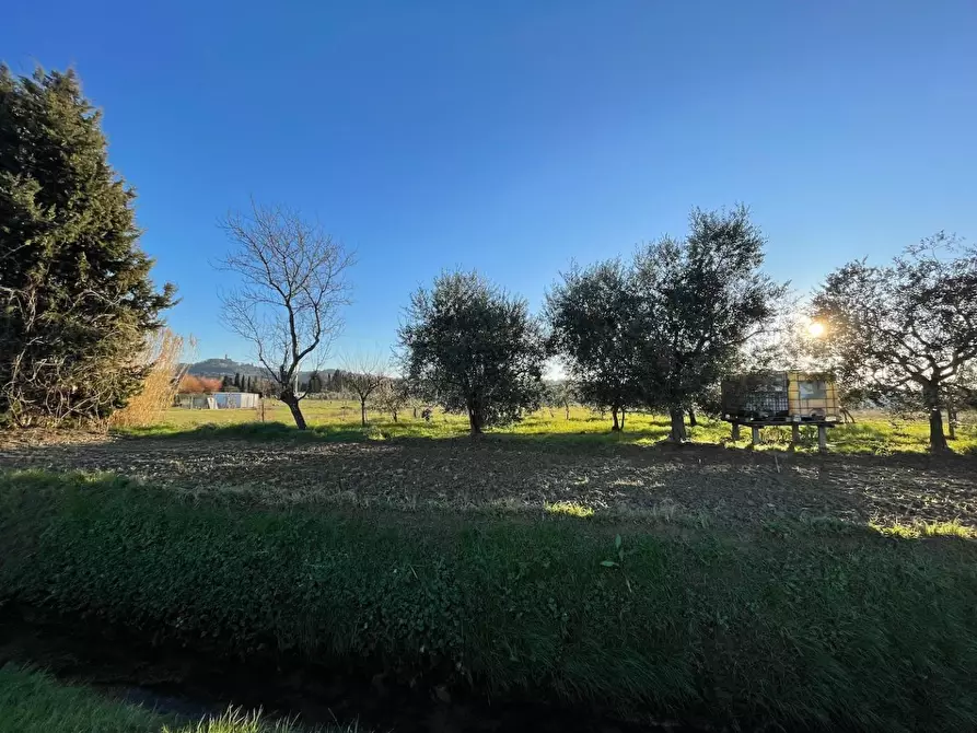 Immagine 10 di Terreno agricolo in vendita  a San Miniato