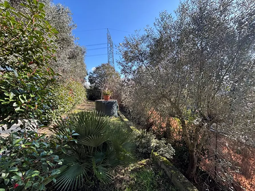 Immagine 28 di Terratetto in vendita  a Empoli