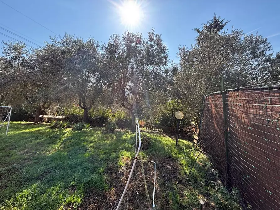 Immagine 11 di Terratetto in vendita  a Empoli