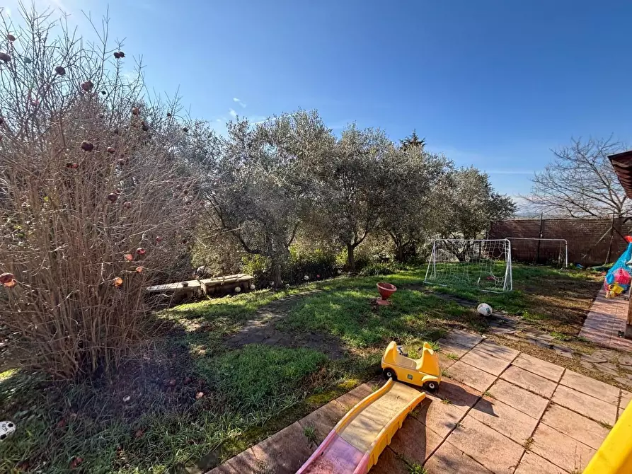 Immagine 12 di Terratetto in vendita  a Empoli