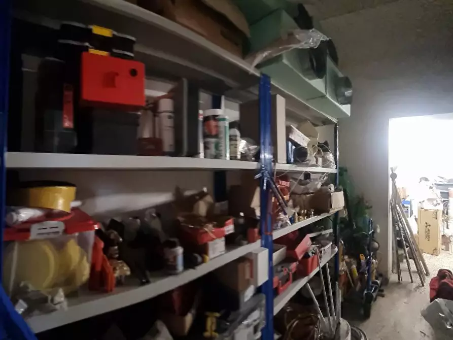 Immagine 3 di Capannone industriale in vendita  a Livorno