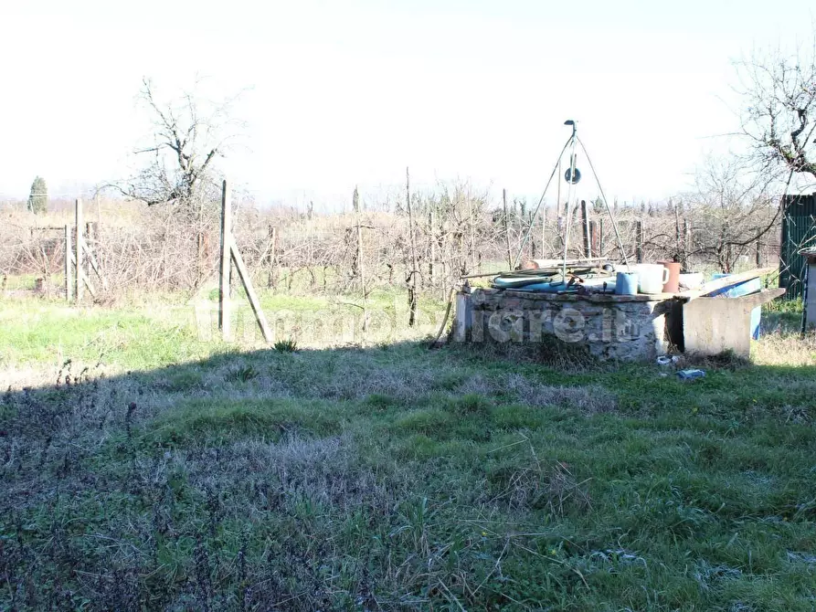 Immagine 2 di Deposito in vendita  a Capannori