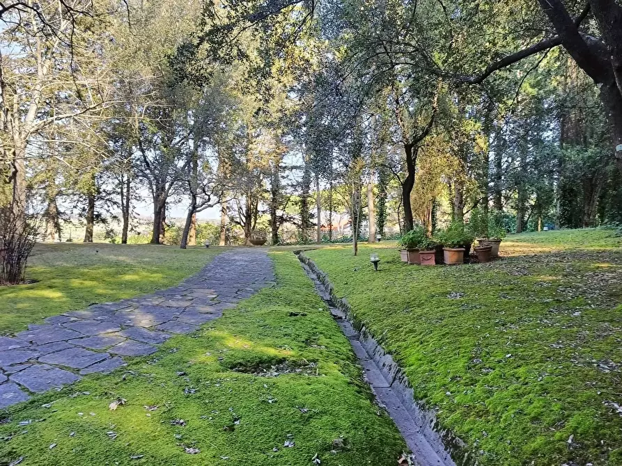 Immagine 8 di Villa in vendita  a Collesalvetti