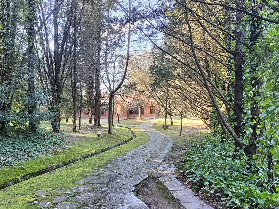 Immagine 3 di Villa in vendita  a Collesalvetti