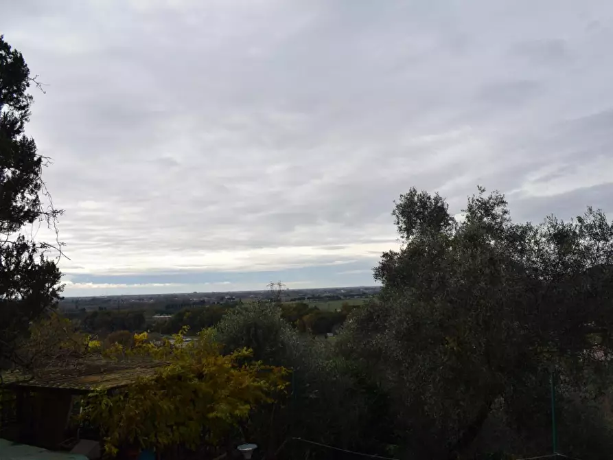 Immagine 29 di Rustico / casale in vendita  a Calci