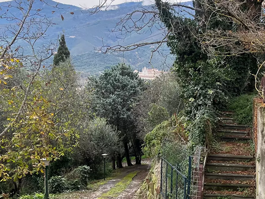 Immagine 17 di Rustico / casale in vendita  a Calci