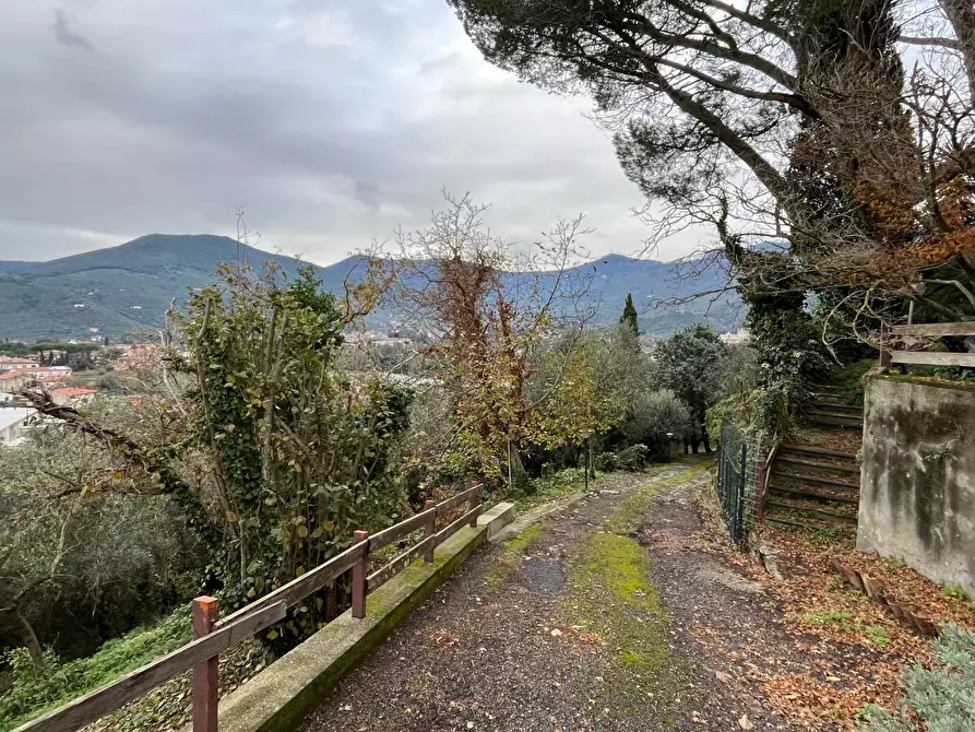 Immagine 14 di Rustico / casale in vendita  a Calci