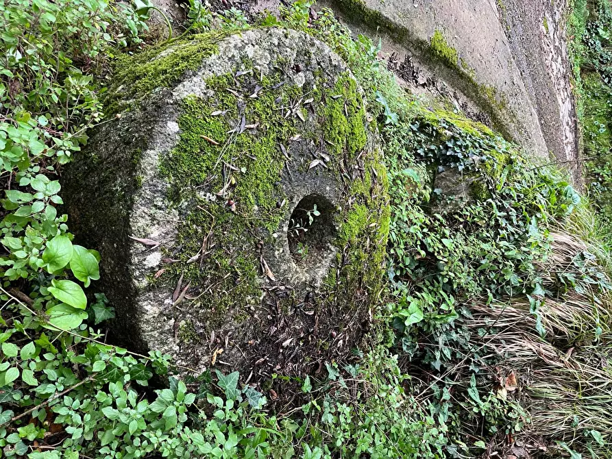 Immagine 7 di Rustico / casale in vendita  a Calci