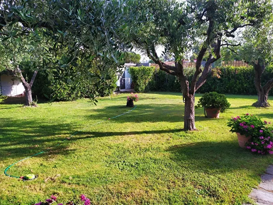 Immagine 68 di Villa in vendita  a Carrara