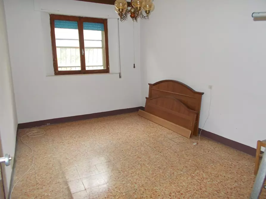 Immagine 3 di Terratetto in vendita  a Vecchiano