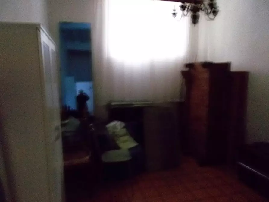 Immagine 9 di Terratetto in vendita  a Vecchiano