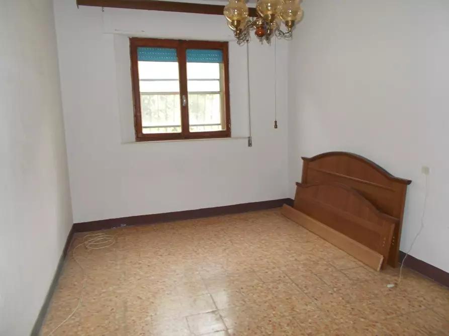 Immagine 5 di Terratetto in vendita  a Vecchiano