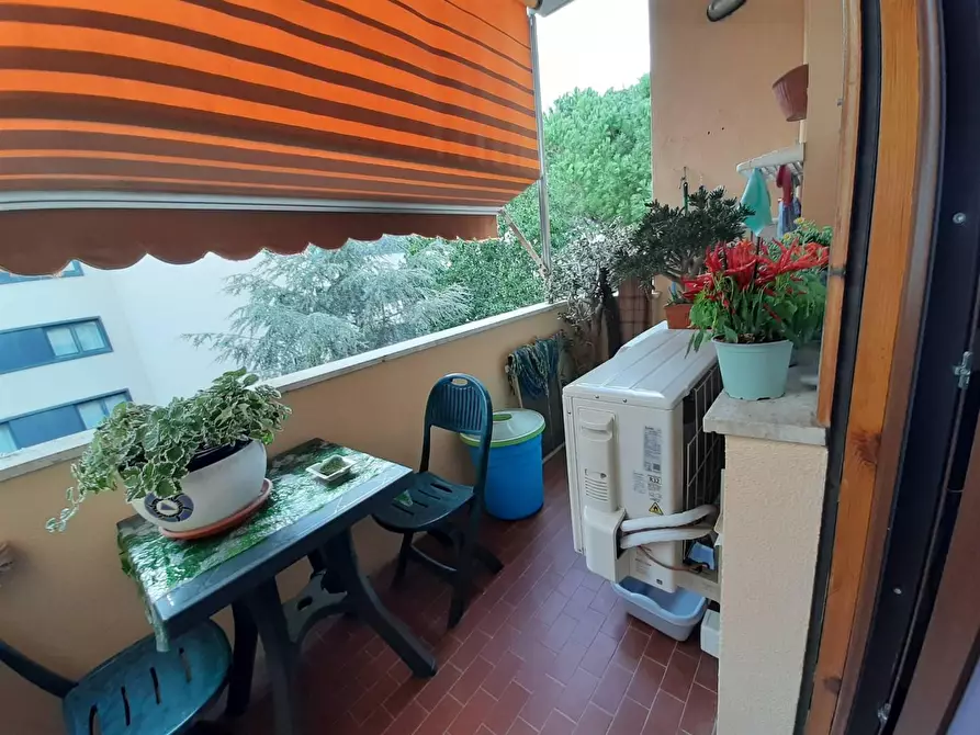 Immagine 15 di Appartamento in vendita  a Pisa