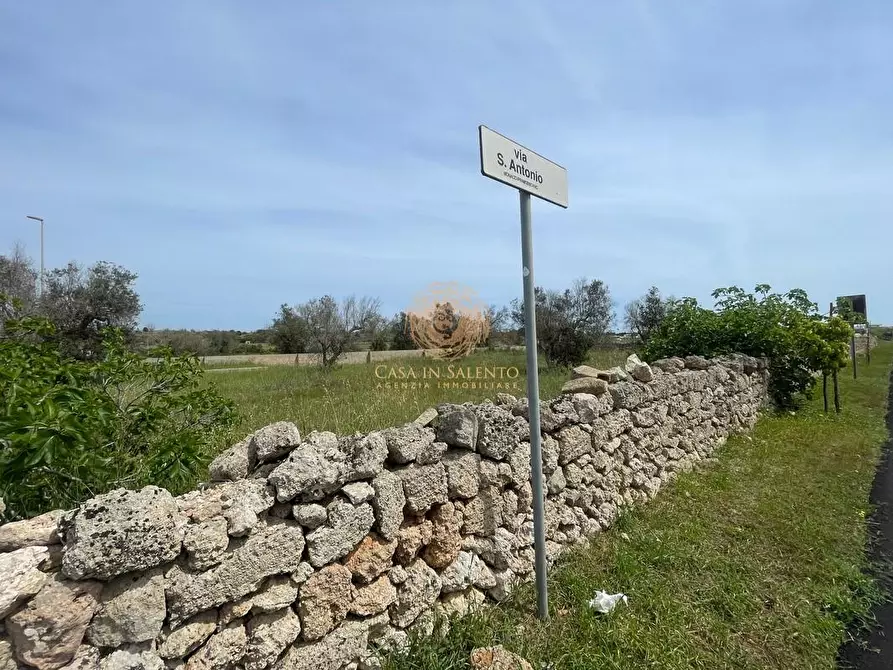 Immagine 7 di Terreno residenziale in vendita  a Salve