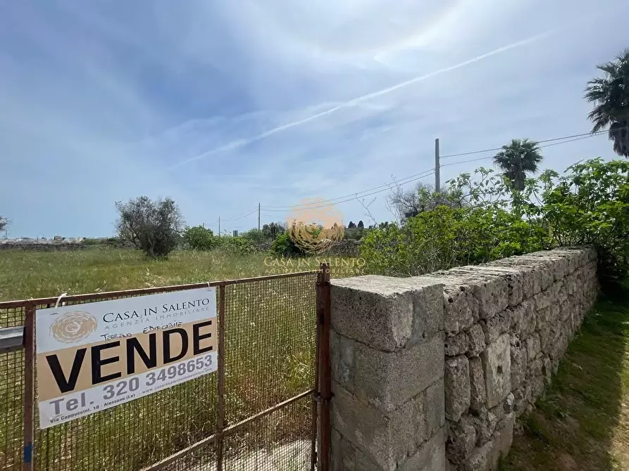 Immagine 11 di Terreno residenziale in vendita  a Salve