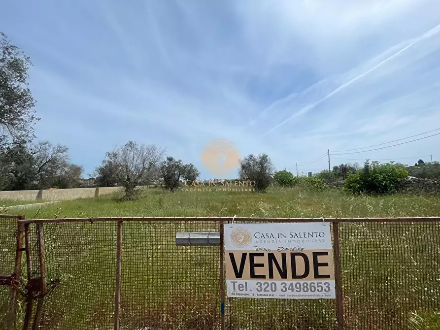 Immagine 10 di Terreno residenziale in vendita  a Salve