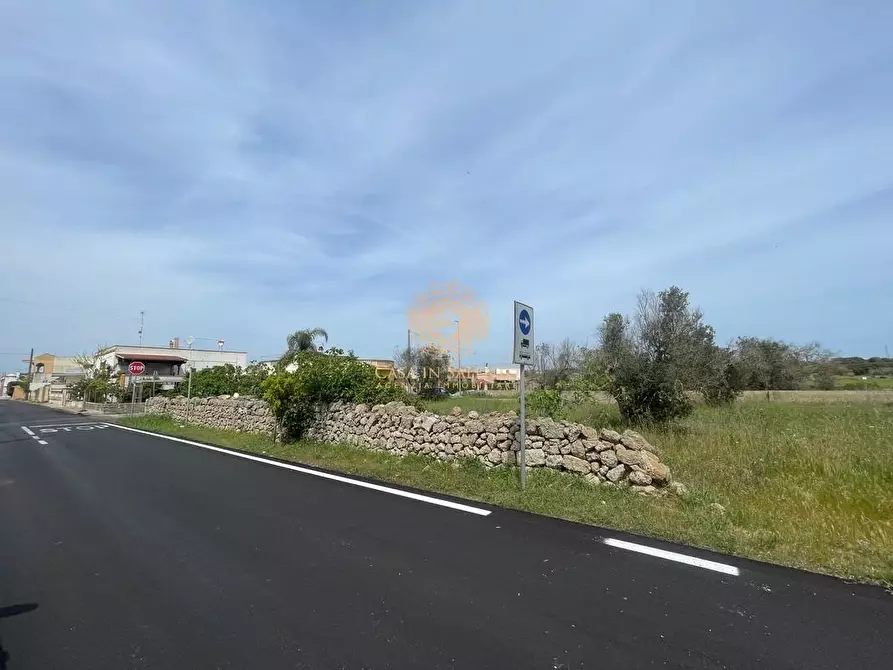 Immagine 14 di Terreno residenziale in vendita  a Salve