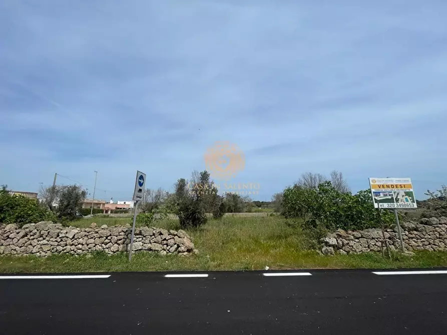 Immagine 13 di Terreno residenziale in vendita  a Salve