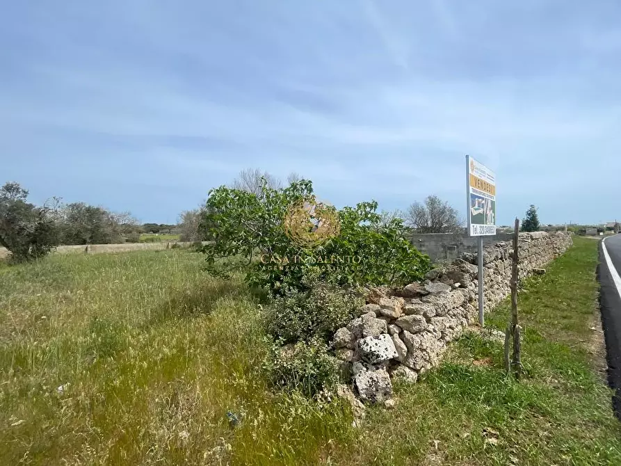 Immagine 5 di Terreno residenziale in vendita  a Salve