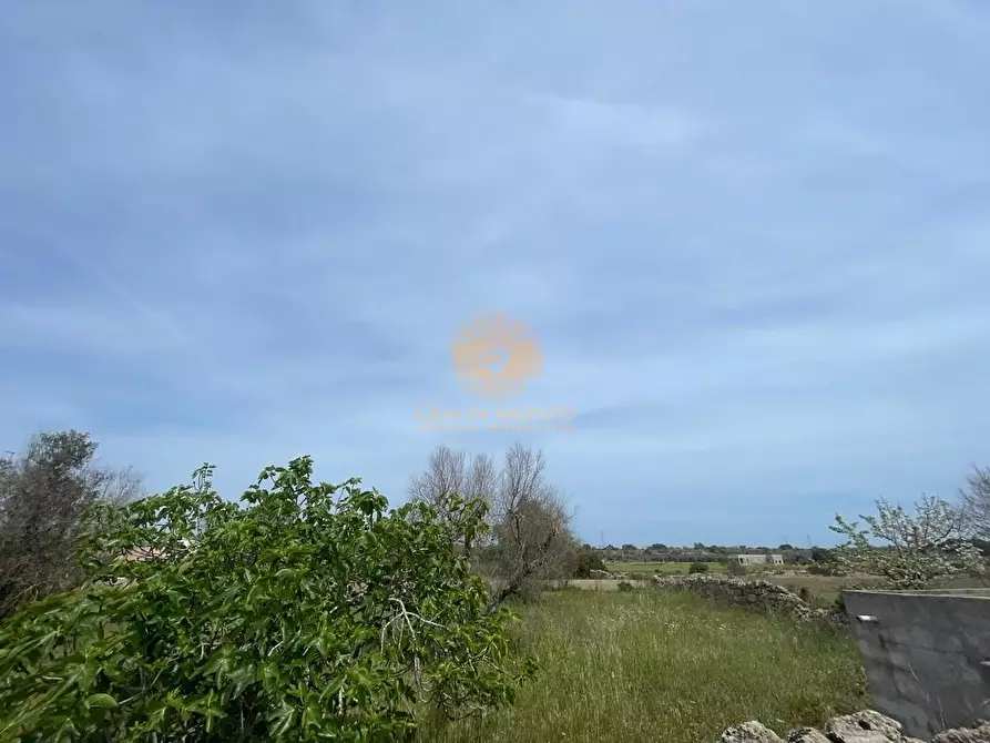 Immagine 4 di Terreno residenziale in vendita  a Salve