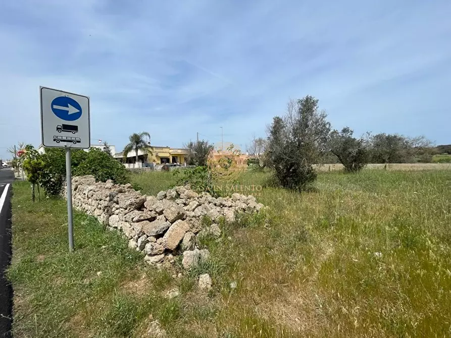 Immagine 6 di Terreno residenziale in vendita  a Salve