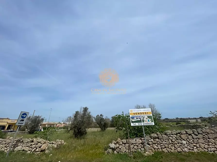 Immagine 2 di Terreno residenziale in vendita  a Salve