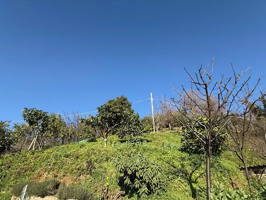 Immagine 20 di Casa bifamiliare in vendita  a Massa