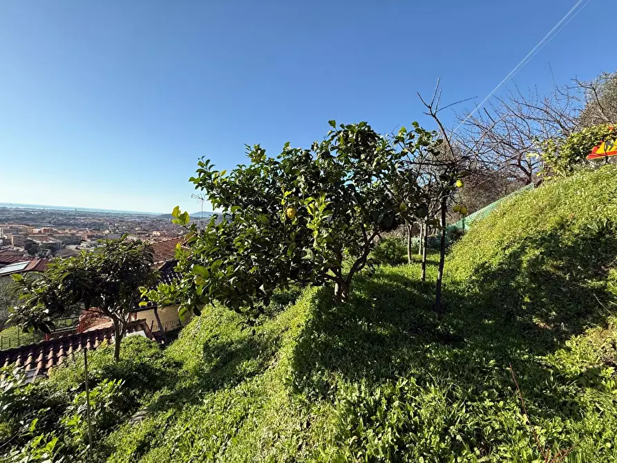 Immagine 24 di Casa bifamiliare in vendita  a Massa