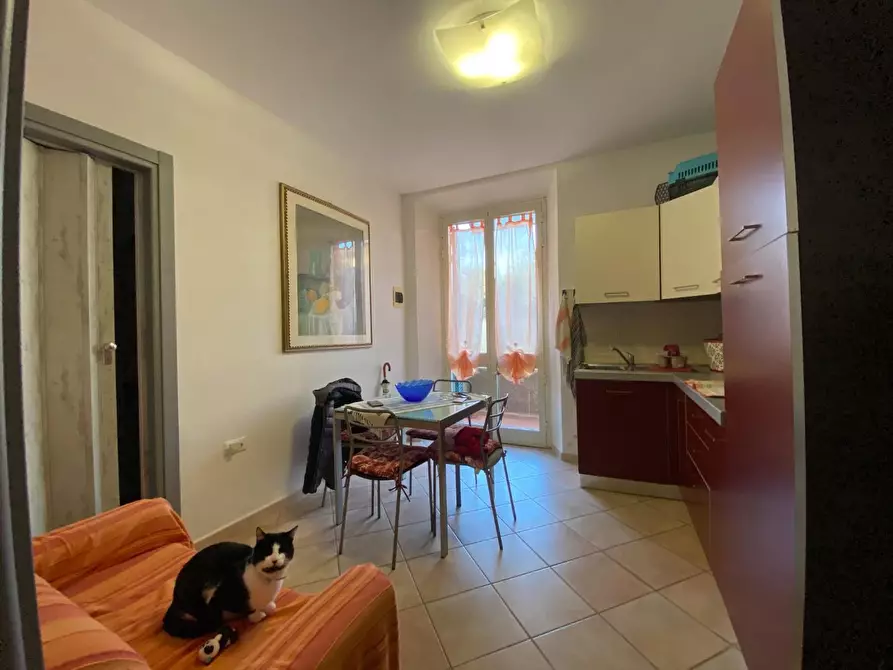 Immagine 13 di Appartamento in vendita  a Campiglia Marittima