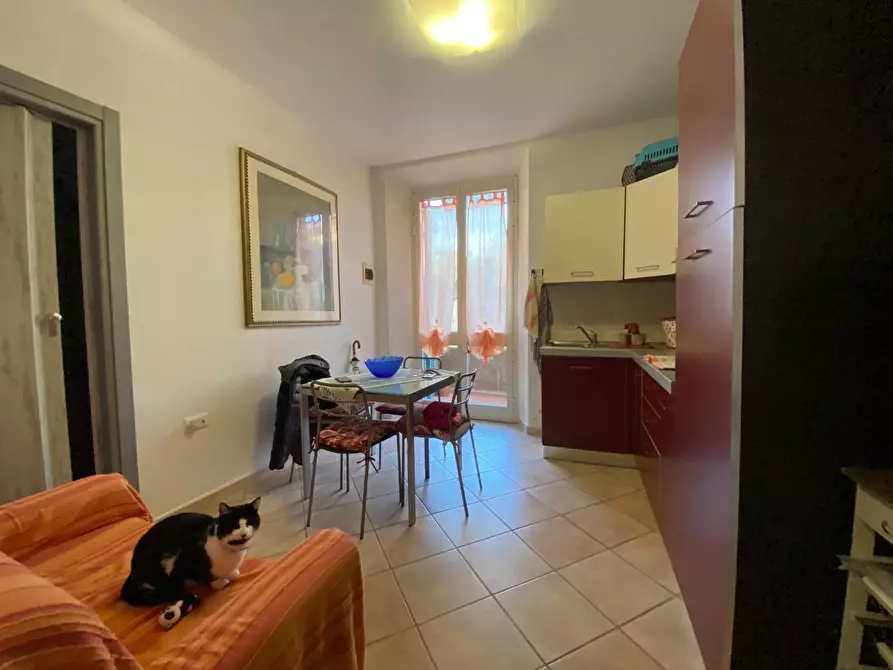 Immagine 4 di Appartamento in vendita  a Campiglia Marittima