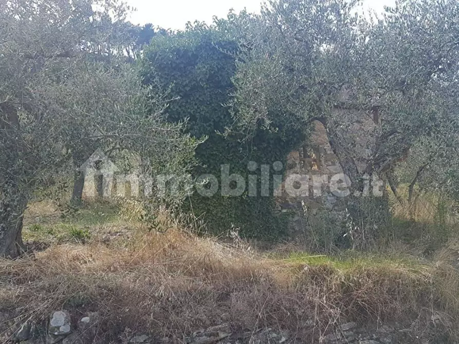 Immagine 5 di Rustico / casale in vendita  a Capannori