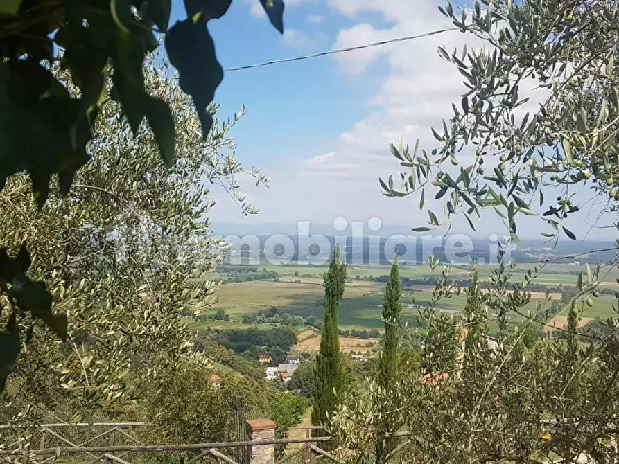 Immagine 4 di Rustico / casale in vendita  a Capannori