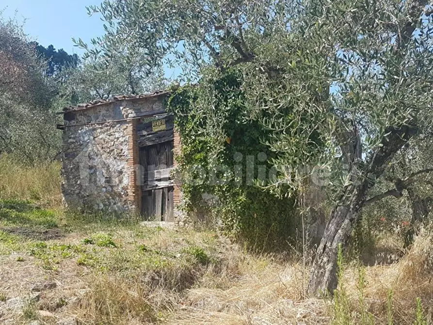 casa indipendente in vendita a Capannori