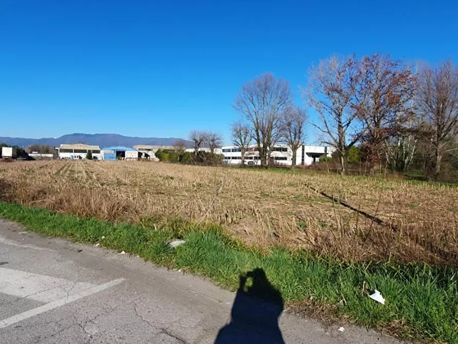 Immagine 2 di Terreno industriale in vendita  a Capannori