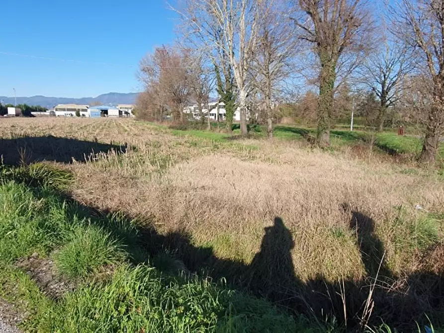 Immagine 3 di Terreno industriale in vendita  a Capannori