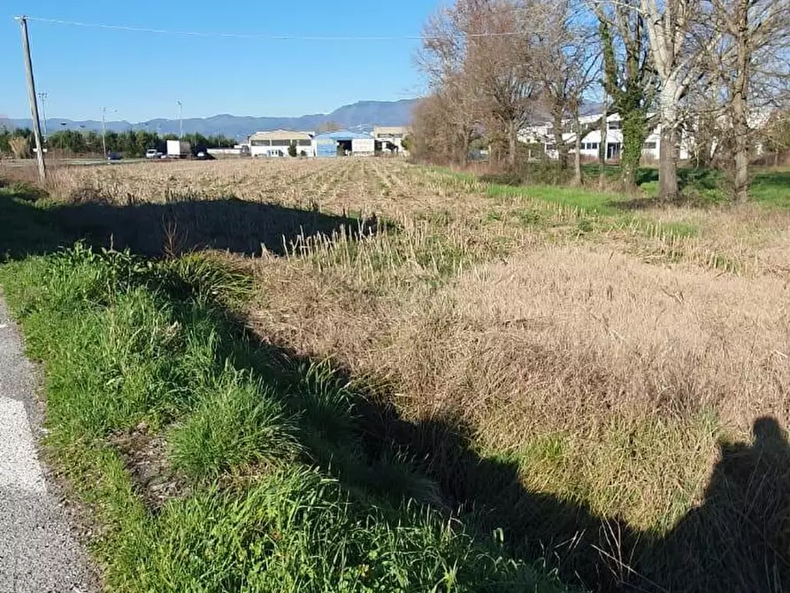 Immagine 4 di Terreno industriale in vendita  a Capannori