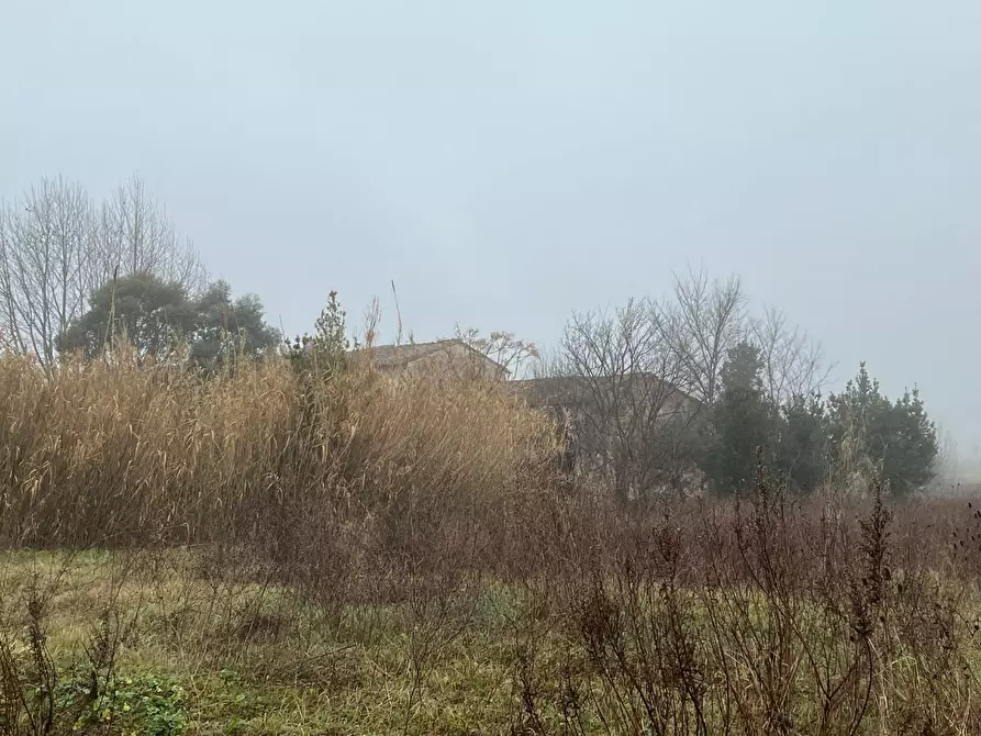 Immagine 15 di Rustico / casale in vendita  a Calcinaia