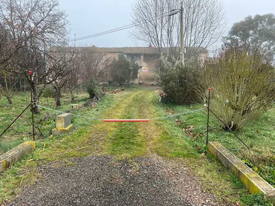 Immagine 7 di Rustico / casale in vendita  a Calcinaia