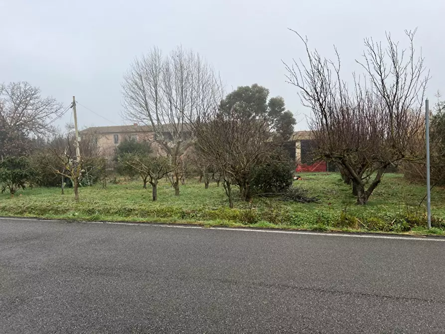 Immagine 17 di Rustico / casale in vendita  a Calcinaia